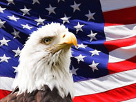 American eagle and flag.  Apply for citizenship.